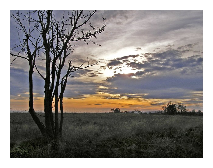 na sever od ráje...