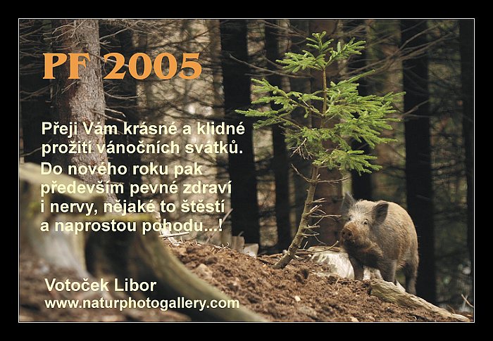 PŘÁNÍČKO / není nutno bodovat ;-) /