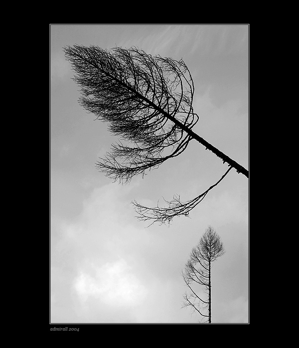 Tatry II.