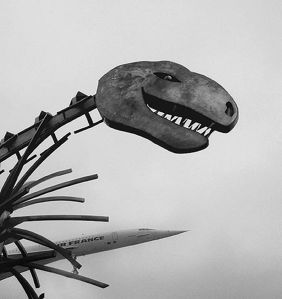 dino