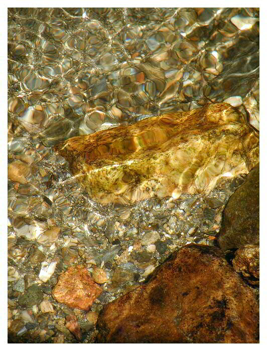 Horský potok v detailu