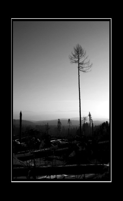 Tatry-deň potom...