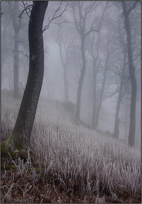 obrázky z hmly - II.