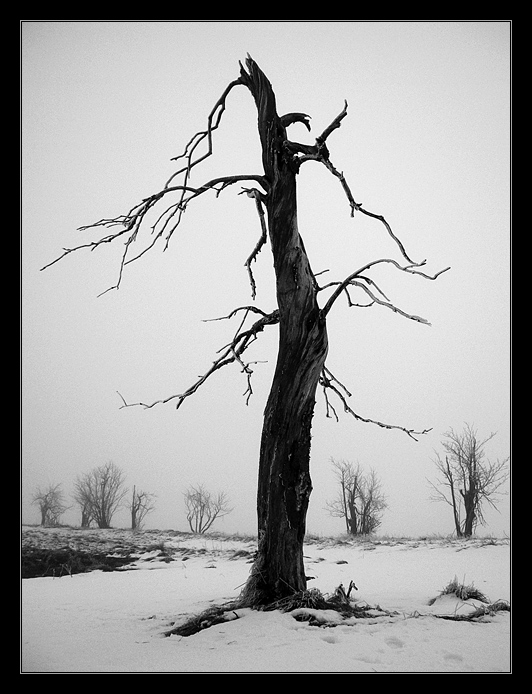 ...poslední Krušnohorec...