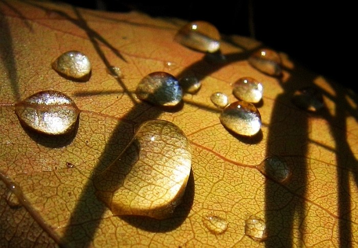 Podvečerní náladovka