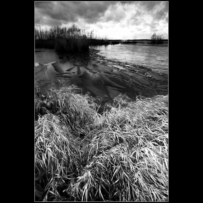 ...mušovská zátoka...