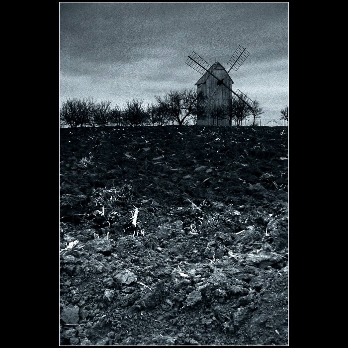 se svou troškou do mlýna