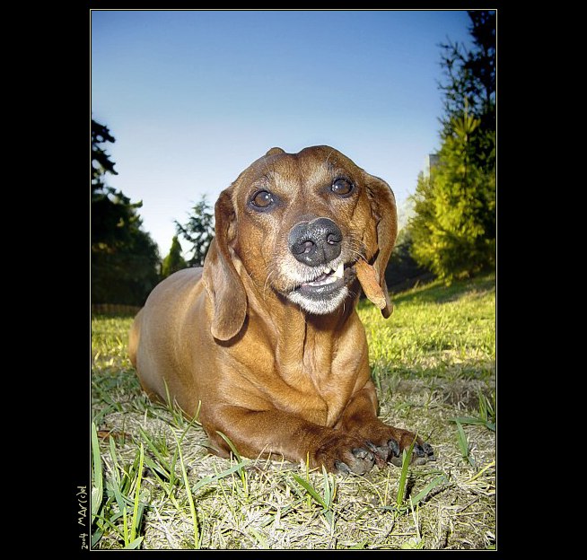 ..:: HunD ::..