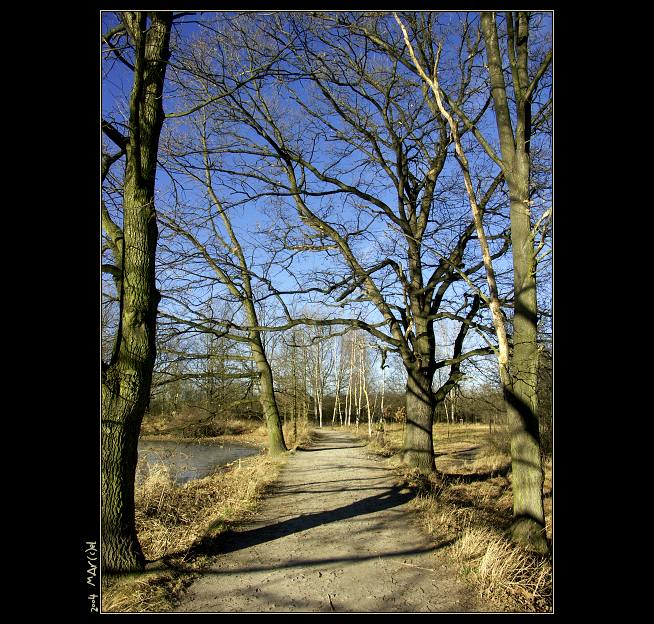 ..:: CestA dO NovÉho RokU ... ::..