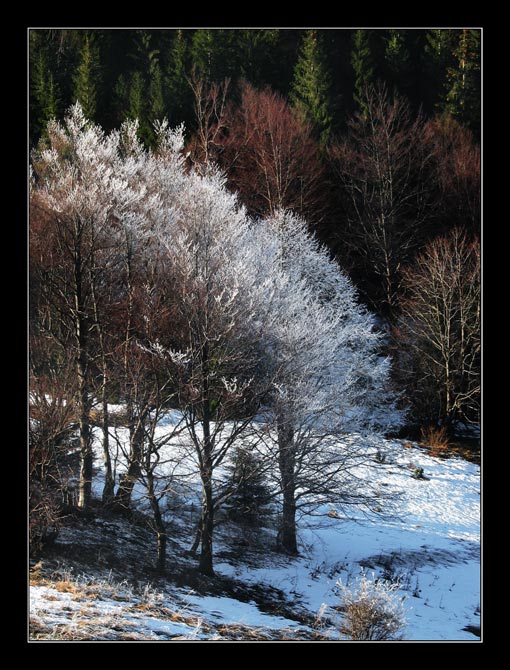 mrazivý dych
