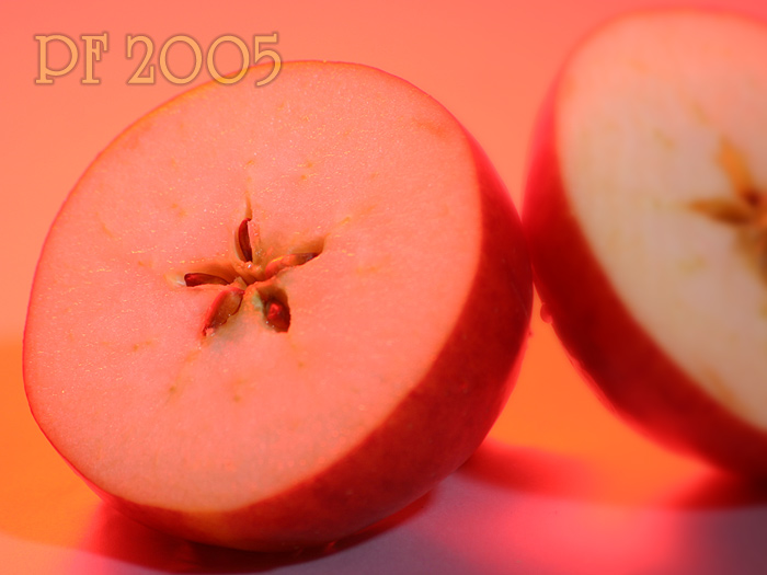 PF2005