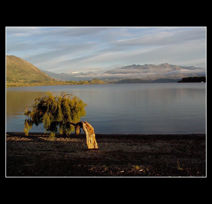 Ranni u jezera Wanaka