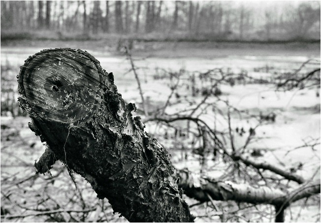 Podzimní melancholie II