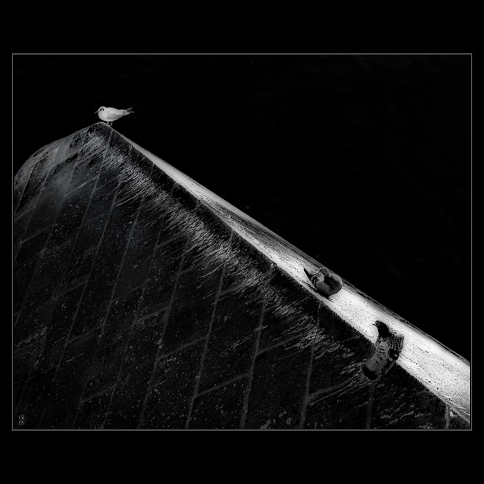 <b>...PRAŽSKÁ ELITA...<hR></b>(...jen tak...)<br><b>