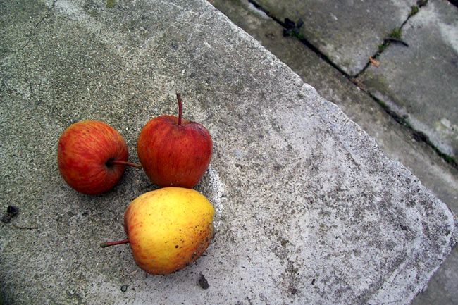 Zapomenutá jablíčka