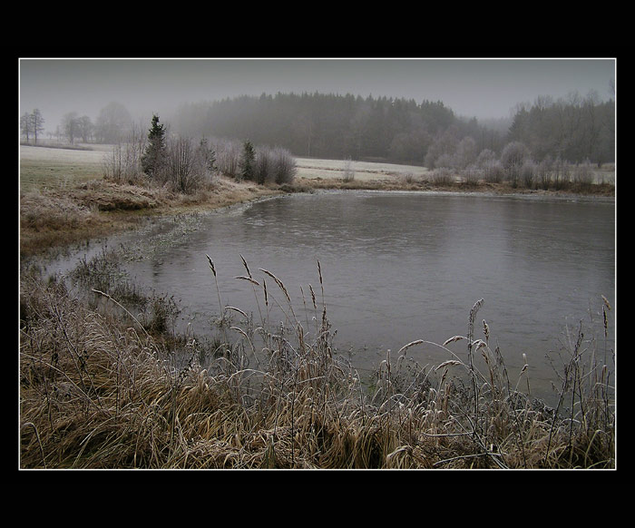 mlhovno
