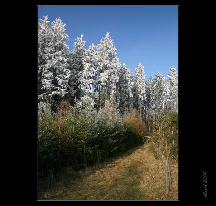 S cukřenkou v kapse