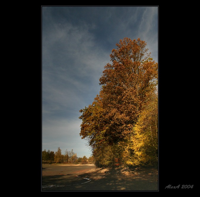 Tam kde bývá voda.