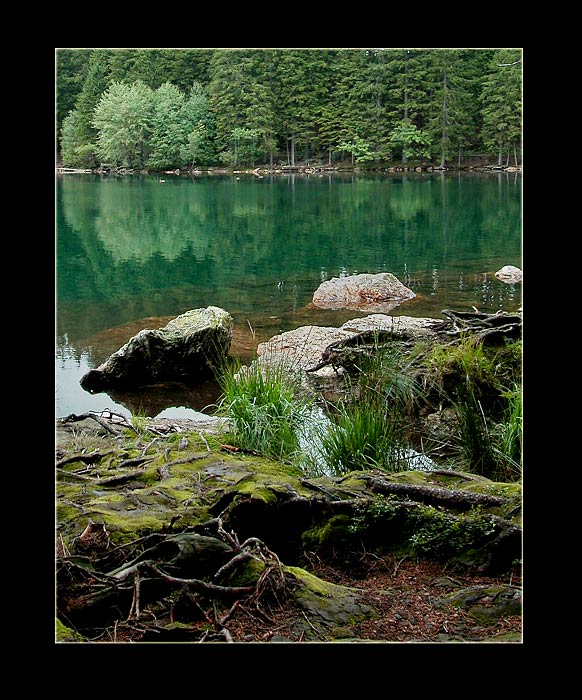 Šumavská jezerní II.