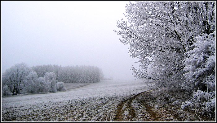Na Kozinci