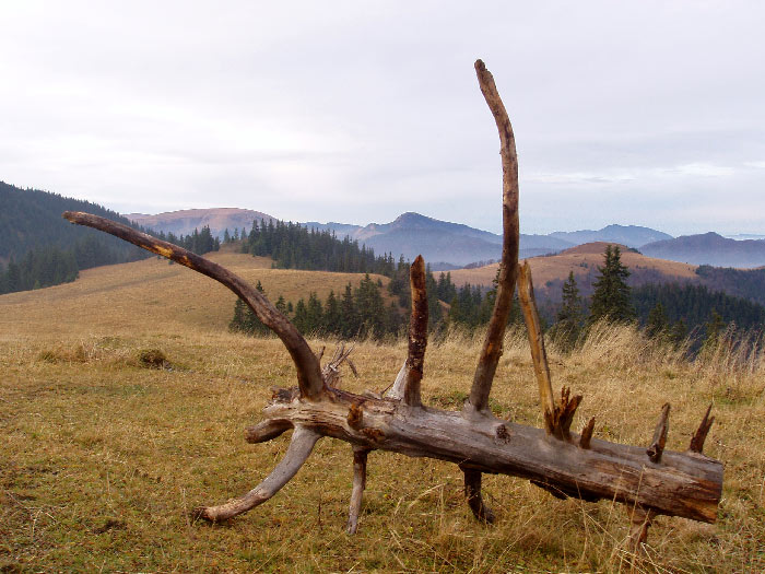 Velka Fatra zrána