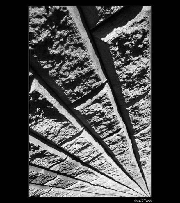 Vějířovka kamenná