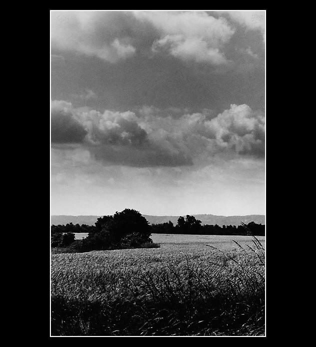 Sychrovská krajinka