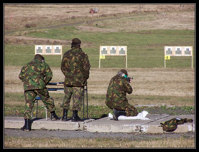 ZLATÝ LEV 2004
