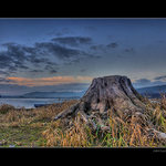 Dnes večer na Lipně IV