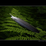 Přeju všem na PP ...