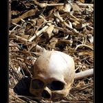 Zánik civilizací ?