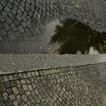 Mravenečník na výletě