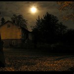 <B>- Kousek domu spoza stromů -<Br>