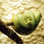 Veget - kľud a teplúčko ...