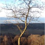 Vianoce v Prahe a okolí ...