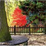 vzpomínka na podzim