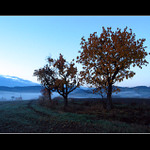 Svítání - variace