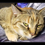 Odpočinek v náručí