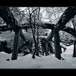 Co člověk nedokončí ...