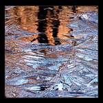 ***Zrcadlení II.***