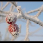 Hodně zdraví...PF2005