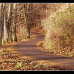 Podzimní cesta