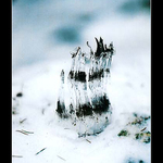 ][ Ice Age ][