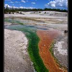Yellowstonský národní park