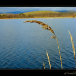 <b><u>*****Stebla*****</b></u> </a></span><br>