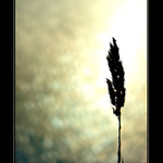 <b><u>*****Pri západe*****</b></u> </a></span><br>