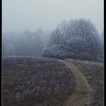 Ani podzim, ani zima