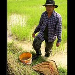 *Běžný den v severním Thajsku*