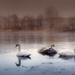 Kolik jich tam vlastně je ???