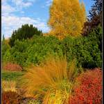 V kalendáři je ještě podzim